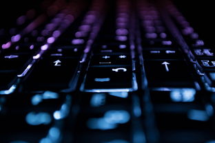 《史诗奥德赛》中描绘的英雄人物及其传奇历程的深刻探讨与分析