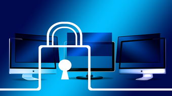 澳门今晚精准四不像图图片|深度研究解释落实_手机版2.982