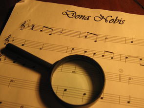 (剑网三 升级攻略)剑网3新手升级攻略：详解升级技巧与常见问题解答