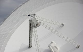 放置修仙录选哪个职业?不同职业能力解析,选对职业提升玩法效率 放置修仙录选哪个职业?不同职业能力解析,选对职业提升玩法效率