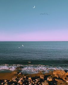 ww777766香港开奖结果特色|决策资料解释落实_FHD品.6.923 ww777766香港开奖结果特色|决策资料解释落实_FHD品.6.923