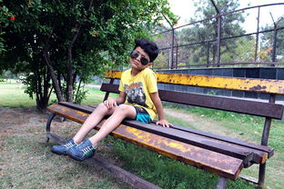 (赛亚龙珠神龙有什么用)神龙宝藏赛亚之神：寻找失落的力量与传奇的冒险之旅