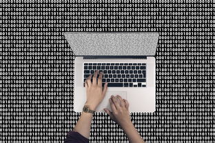 澳门特马王中王最新开奖结果|探索未知的美丽旅程_创新版BT.2.394