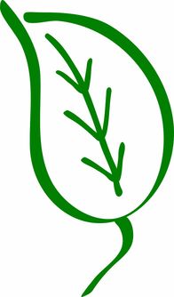 (广场舞传奇背面演示)畅享活力与激情：探索传奇广场舞的魅力与文化内涵