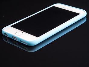 (哈乐贵吗)探索哈乐价钱：了解哈乐是如何定价的，价格背后的秘密揭示