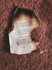 (造物法则造物实验室)探讨掌握原理与应用:让你离线也能创建的造物法则 (造物法则造物实验室)探讨掌握原理与应用:让你离线也能创建的造物法则