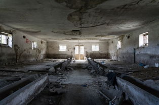 探秘班班幼儿园4穿墙飞行版：儿童教育新趋势与创新科技的完美融合