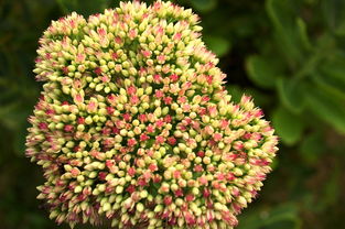 一款老游戏有魔法师弓箭手：如何让经典角色在更新中焕发新生活力