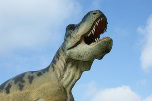 (大话手游商人怎么挣人民币)大话手游商人半小时赚钱达5亿，惊人财富引关注