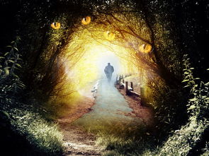 (魔兽平台修改)深入解析魔兽世界3.35客户端修改的多种方法与技巧