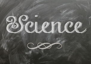 (生命周期循环图)生命周期的循环：个体从出生成熟衰老直至死亡的全过程