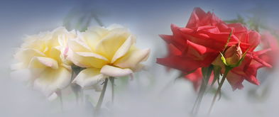 (天界存在吗)探寻神秘的天界：现在究竟是什么局面？