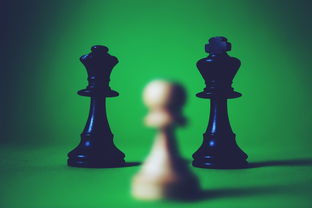 深度挖掘拳皇2005魔改版KOF:探索虚拟游戏角色改编与创新的独特魅力 深度挖掘拳皇2005魔改版KOF:探索虚拟游戏角色改编与创新的独特魅力