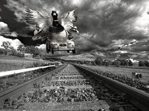 (奖门人2021在哪里看)202quot;奖门人2024最新一期粤语在线观看，全新奇想等你探寻