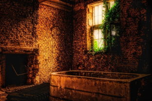 (穿越仙界:傲世神诀,掌控乾坤,成就不朽传奇免费阅读)穿越仙界：傲世神诀，掌控乾坤，成就不朽传奇