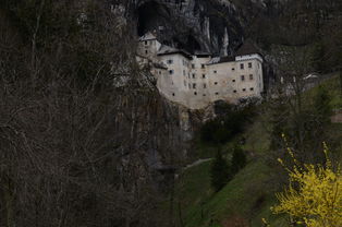 乌克兰魔术师博格丹与中国观众依依惜别，结束了他在中华大地的传奇演出