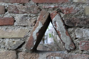 42982金牛网论坛一语破天机|准确资料解释落实_FHD款.9.609