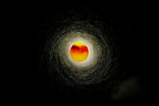 探讨说剑游戏现象:剑客之间的较量和对话在游戏世界里如何展现 探讨说剑游戏现象:剑客之间的较量和对话在游戏世界里如何展现