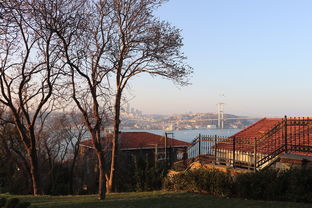 (阿尔卡迪亚有什么玩的)探寻阿尔卡迪亚：哪些美丽的角落值得一游？