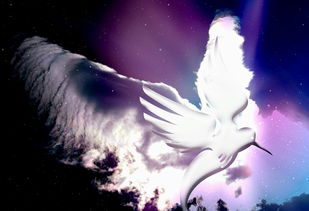 (梦幻宠物联盟吧)关于《梦幻宠物联盟》是否已经下架的详细分析与玩家反馈汇总