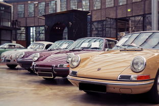 (雷霆拯救队成员介绍)汽车人雷霆拯救队：探秘震撼力量，迎接真正的挑战