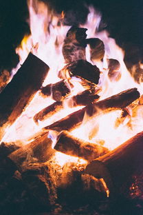 (暗黑破坏城4)探索《暗黑4》黑暗城堡奖励系统：闯关冒险，未知财富等你挖掘