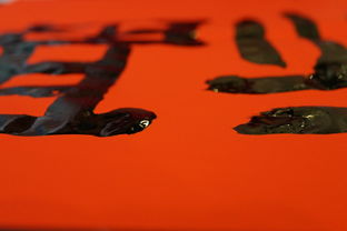 (镇魂街手游探险)探秘镇魂街进阶特训第5关：挑战与考验的终极关卡