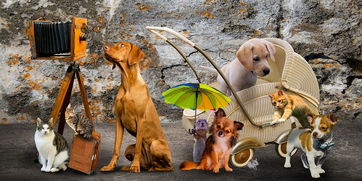 (与封印战记一样的游戏)类似封印战记的手游推荐：快节奏刺激战斗，沉浸式游戏体验