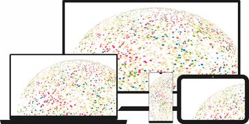 特朗普财政部长人选陷入混沌：猜测频出引发市场担忧，美股未来走向成谜