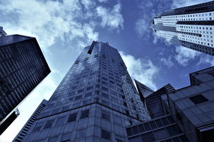 (上海巨人网络集团有限公司)上海巨人网络科技有限公司：打造未来网络科技巨头的引领者!