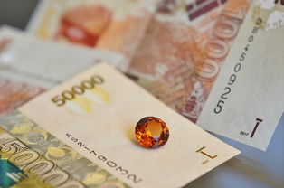 新澳天天开奖资料大全272期|理论依据解释落实_先锋版IP.0.921