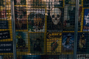 澳门一码一肖一待一中四|探索新趋势掌握未来资讯_探险集.1.316