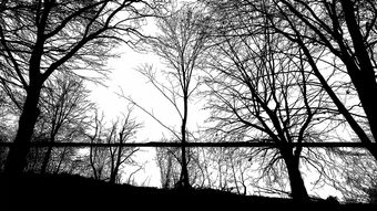 (谜影重重通关攻略)探寻错综复杂的谜影重重游戏：解锁神秘面纱，揭开真相之谜