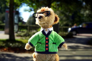 (三国手游2020排行榜前十名)2022年最新三国手游排行榜Top10排名公布，你玩过几款？