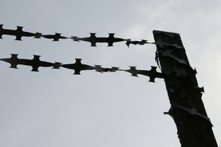 (致命追逐游戏)致命追逐还能玩多久？走到最后的胜者才是真正的英雄