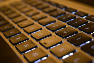 (海贼王心之航海图简谱)探秘海贼王：心之航海图揭秘，揭露隐藏的宝藏和秘密。