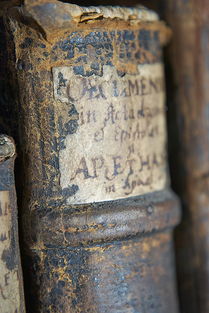 (穿越到井冈山的抗战小说)穿越历史重现井冈山星火剧场全剧情介绍