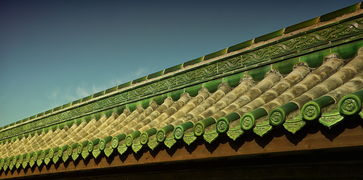 2024香港开奖结果记录|探索生活中的细腻瞬间_经典版IP.3.656