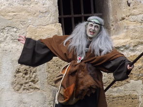 古代中国西域列王纪：一个关于中亚价值异质性与文化碰撞的故事