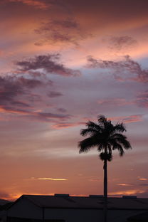 (剑侠情缘手游藏剑后期)剑侠情缘手游藏剑加点攻略：轻功技能搭配与属性加点深度解析
