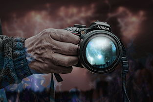 全面解析《隐藏的家伙》游戏攻略：技巧、心得与隐藏要素全面揭晓