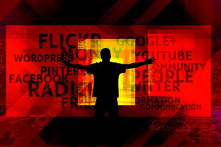 深入探讨统帅与统帅之间的区别及其在战略领导中的不同角色定位