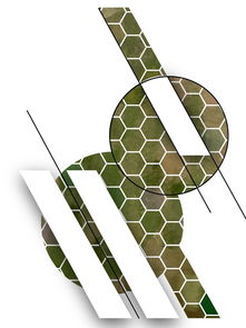 新世界的神：对现代社会中日语影响力及其在全球化背景下的重要性的深度分析