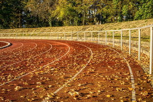 (元素魔法之战 技能说明)探讨魔兽元素魔法之战技能搭配:打造最强组合与战术策略 (元素魔法之战 技能说明)探讨魔兽元素魔法之战技能搭配:打造最强组合与战术策略