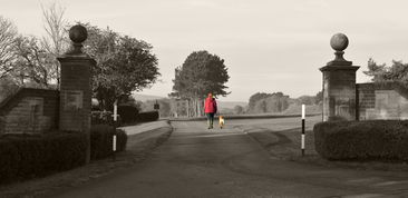 仗剑天涯是什么意思？感受一人一剑，行走在天涯海角的壮美之旅。