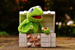 探险游戏新玩法：动物历险记0.1折游戏震撼来袭，全新体验等你探索！