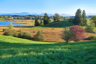 食神客栈全新玩法揭秘：'食物归类者'全攻略，如何通过无限刷玉快速提升战力