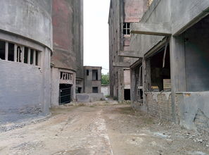 (霸略征战:如何训练副官克制远程攻击)霸略征战:如何训练副官克制远程攻击? (霸略征战:如何训练副官克制远程攻击)霸略征战:如何训练副官克制远程攻击?