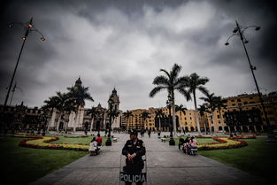 (喵喵爱玩能赚钱吗)喵喵爱冒险0.1折特惠,带你开启一段奇妙的猫咪冒险之旅 (喵喵爱玩能赚钱吗)喵喵爱冒险0.1折特惠,带你开启一段奇妙的猫咪冒险之旅