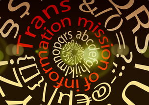 探讨数码宝贝相遇是否意味着游戏将关闭：玩家们担忧的关服传闻